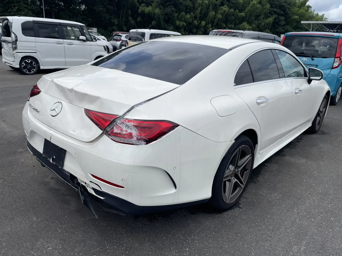CLS220D